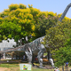 Ilustración para el artículo titulado Hallan en Argentina los huesos más grandes de dinosaurio hasta ahora